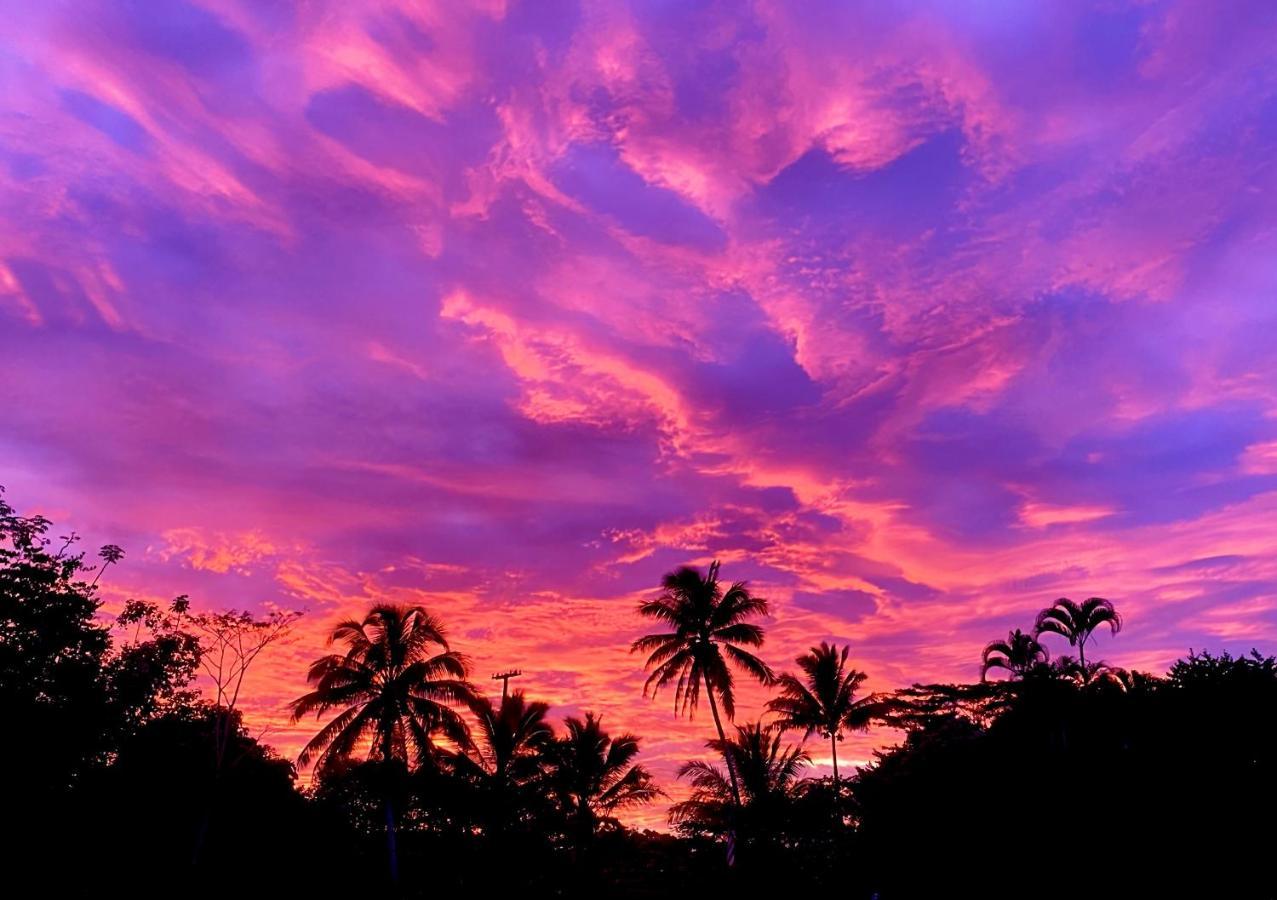 Wild Blue Water Apartment Pahoa ภายนอก รูปภาพ